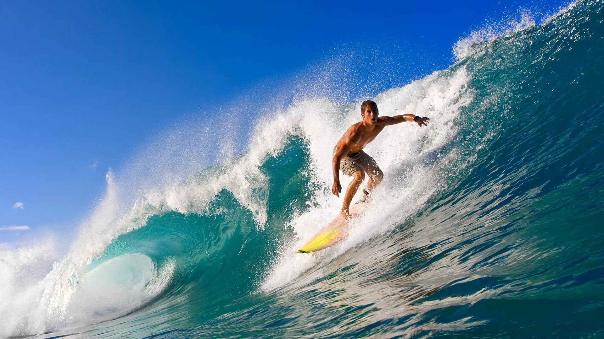 “尼古拉斯·桑特基的快速突破与精准配合,推动美洲狮队成为新一代强队”