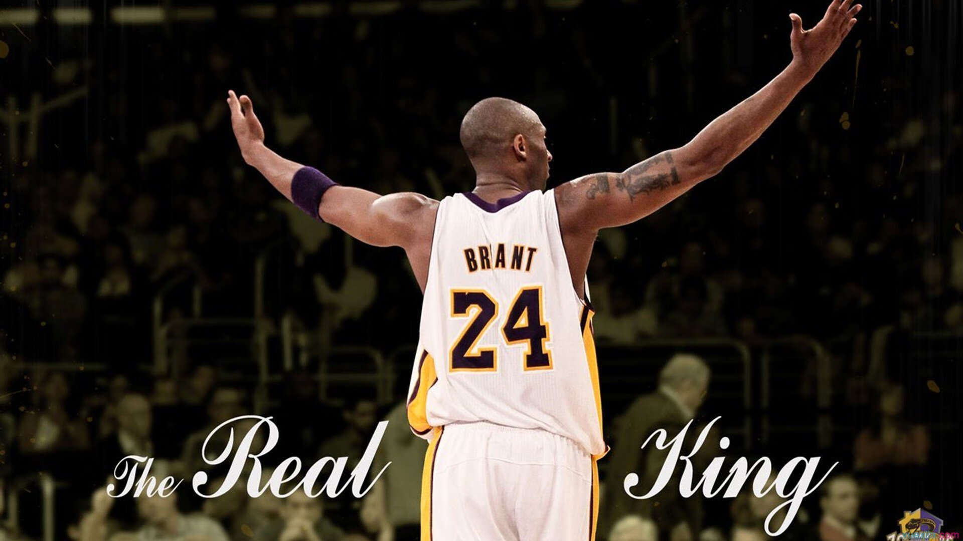 “尼古拉斯·桑特基的比赛掌控力,成为阿根廷美洲狮队的核心力量”